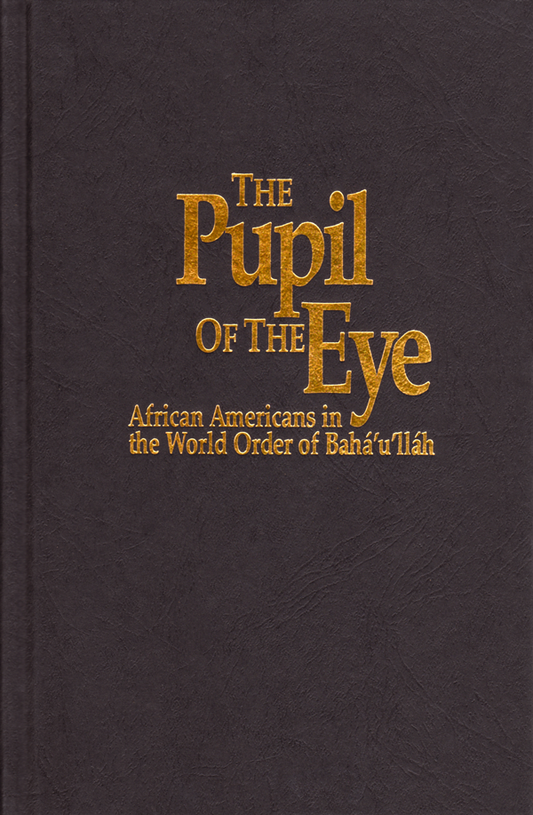 The Pupil of the Eye